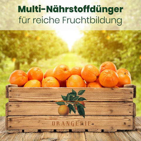 Meine Orangerie Zitruserde und mediterrane Pflanzenerde