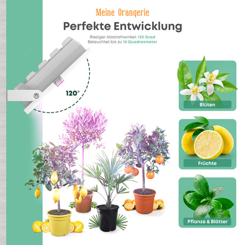 LED Pflanzenlampe [20W] Vollspektrum